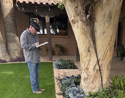 Analyzing a tree for plant healthcare