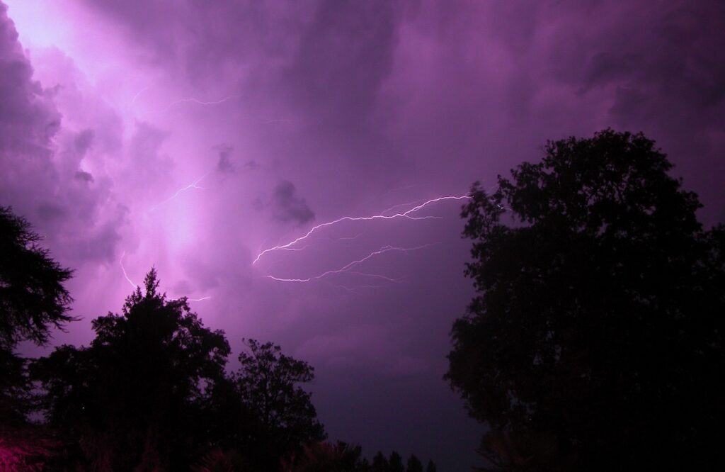 Trees in a monsoon in Phoenix, Arizona
